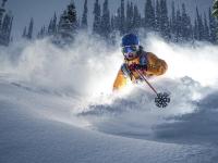 IM电竞注册-库里独舞圣城，当个人天赋照亮团队篮球的终极对话