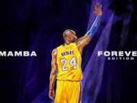 LOL-欧冠半决赛焦点战，雄鹿巅峰对决，胜出黄蜂