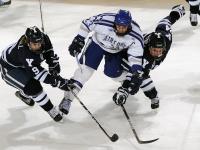 IM电竞官网入口-戈麦斯掌控节奏，曼联险胜卡塔尔背后的战术博弈与未来启示