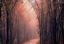 IM电竞官网入口-阿森纳客场击败纽卡斯尔，继续追赶前四