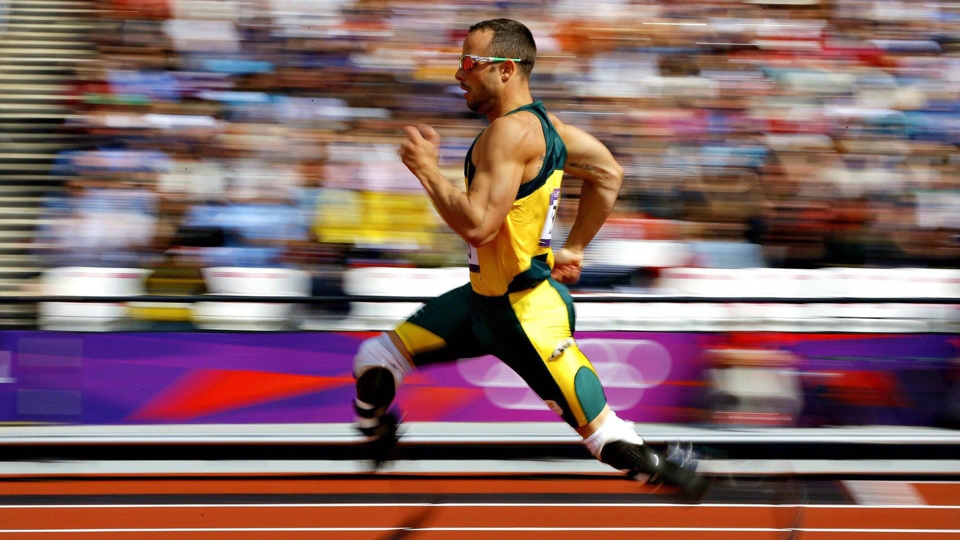 德约科维奇美网完胜戴维斯杯惊艳四座，一场跨越国界的网球传奇