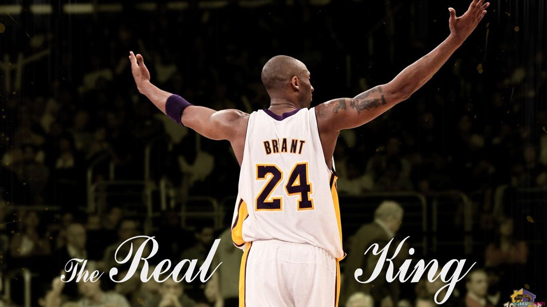 波兰铁骑碾压乌拉圭，凯恩独扛三狮军团前行